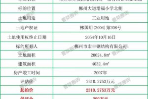 2310万！郴州大道工业用地及建筑物拍卖