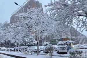 一场大雪，彻底撕下新能源汽车的“遮羞布”，车主：苦不堪言