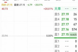 连续3个20厘米跌停，股价从299跌到27元，里面散户还能跑出去吗？