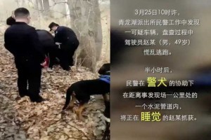 心挺大！涉毒男子逃避抓捕藏进水泥管道，然后……睡着了