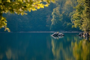 海报 | 祝贺！这8位荣获湖南省中医药研究院2024年先进科技工作者