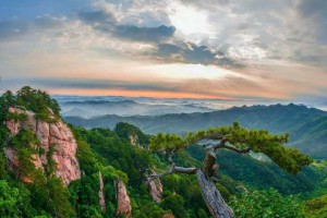 辽宁五一旅游景点排行，辽宁春天去哪里玩，辽宁十大春游好去处