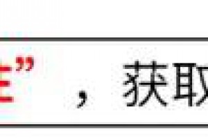 运行了3年就面临拆解？白白投入几十亿，这一交通方式缺点众多