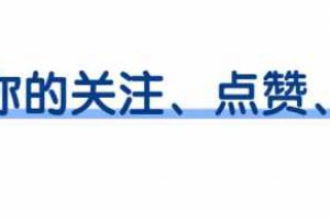 离开格力十个月后！再看孟羽童现状！才明白她与董明珠谁更清醒